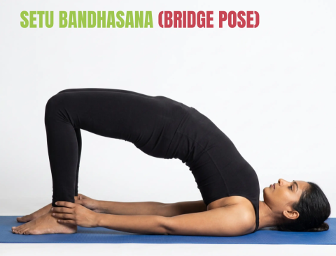 Setu Bandhasana bridge pose yoga poses for PCOS and butterfly exercise for periods