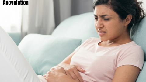 PCOS infertility due to anovulation and impact on PCOS and pregnancy success