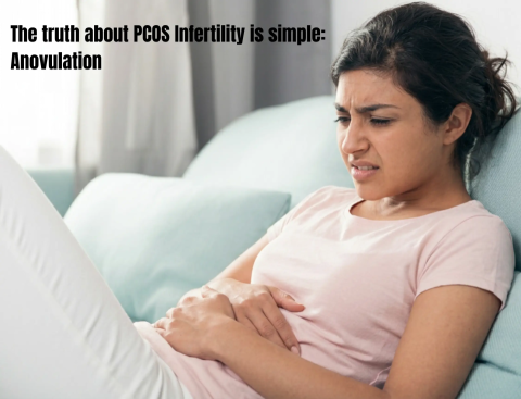PCOS infertility due to anovulation and impact on PCOS and pregnancy success